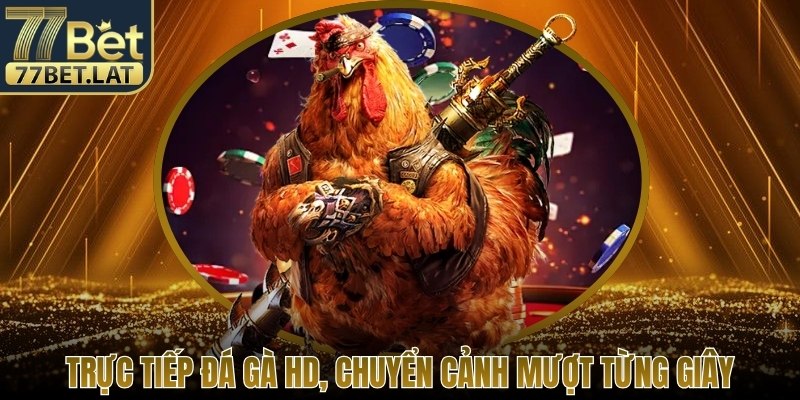 Trực tiếp đá gà HD, chuyển cảnh mượt từng giây